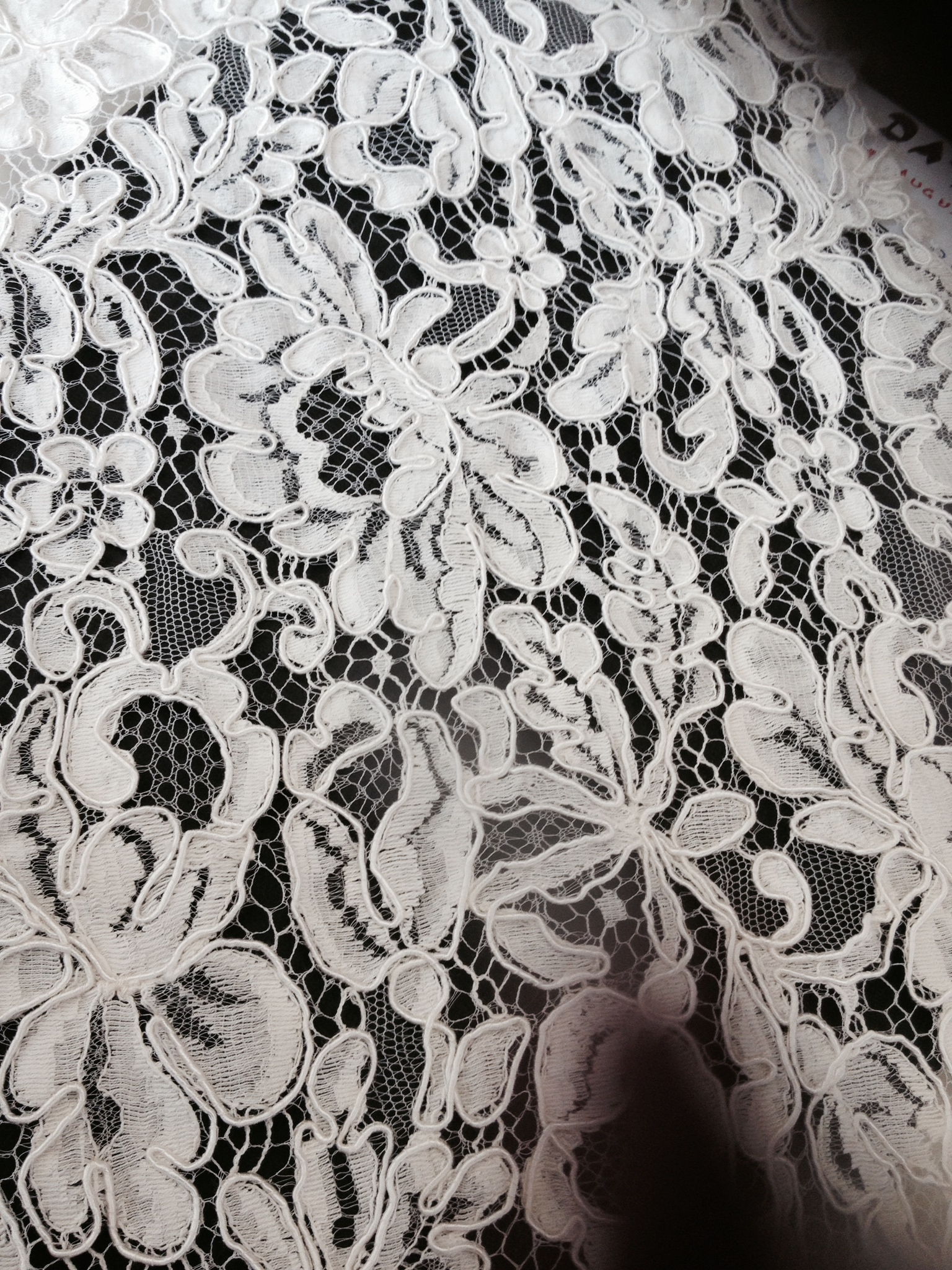 Corded lace top